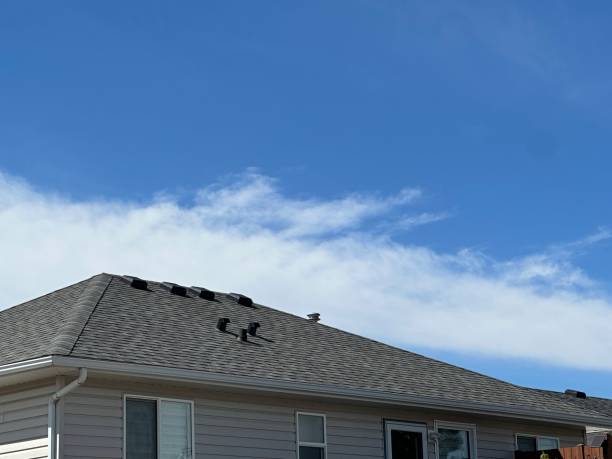 Best Roof Ventilation Installation  in Toronto, OH